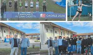gattico talenti