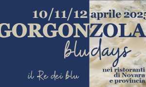 gorgonzola blue days 25