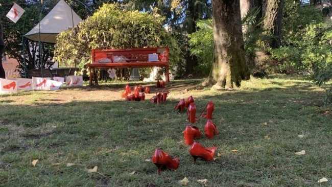 gozzano panch rossa viol 23