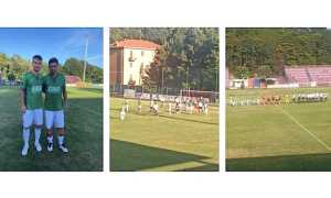 gozzano renate