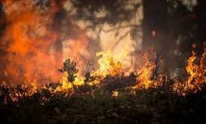 incendio bosco