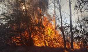 incendio borgom