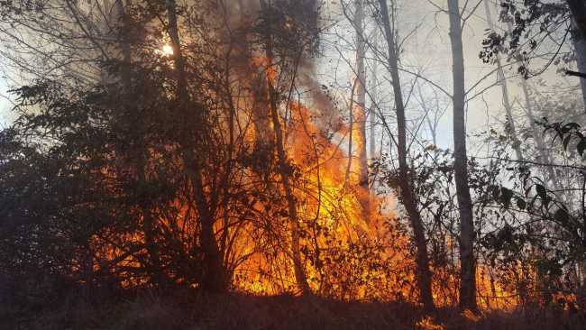 incendio borgom