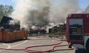 incendio discarica borgo