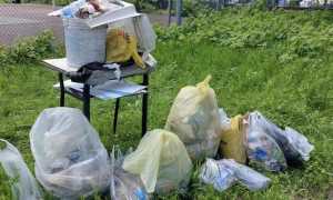 itis rifiuti raccolti