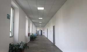 its da vinci interno