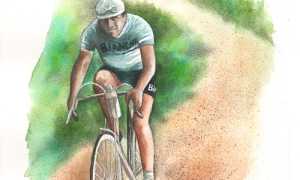 libro Domenico Piemontesi