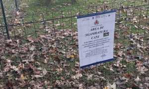 maggiora area cani