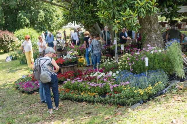 menta e rosmarino repertorio