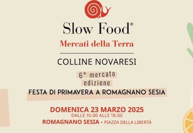 mercati terra romagnano 25