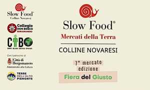mercato terra borgo 25