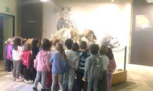 museo borgosesia
