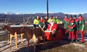 natale brighese