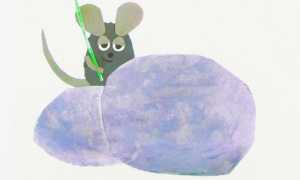 nati leggere castelletto