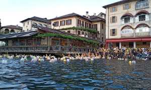 nuotata sotto le stelle orta