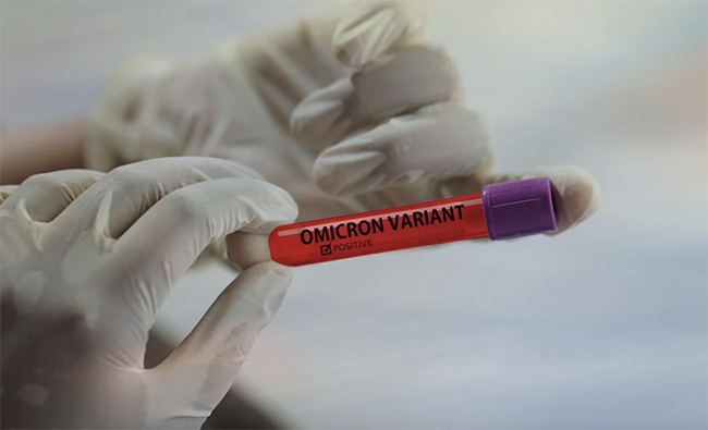 omicron covid variante