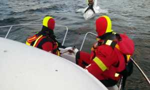 orta barca ribaltata