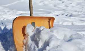 pala neve