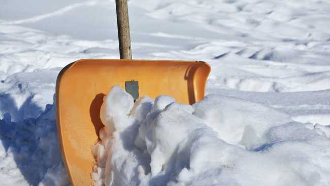 pala neve