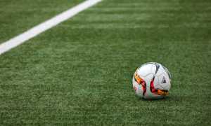 pallone calcio campo