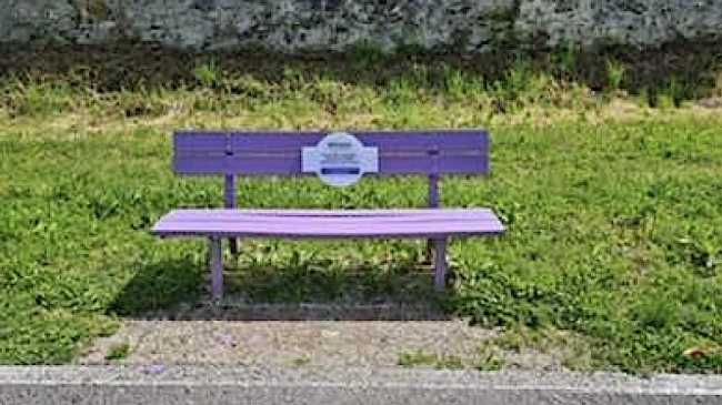 panchina lilla gozzano