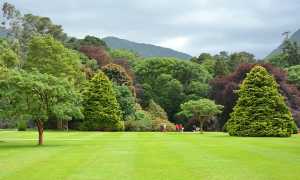 park 1495812 640