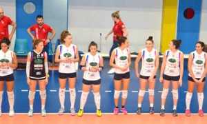 pavic