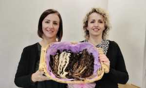 pettenasco ciocche lilt 2