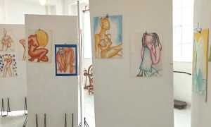 pettenasco mostra cagnola 24