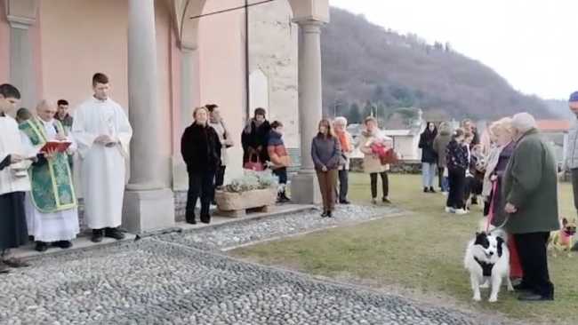 pettenasco s antonio 2023