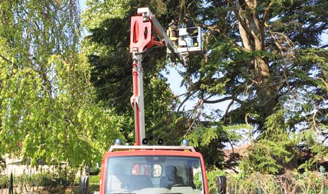 pianta vigili fuoco scala