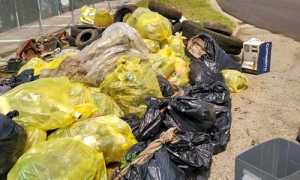 puliamo il mondo borgo