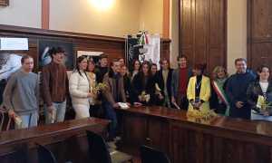 romagnano borse studio 25