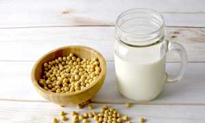 soy milk 2263942