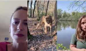 videointervista torbiera