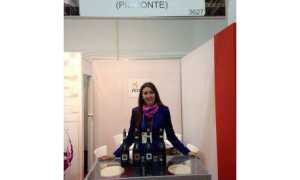 vini ny