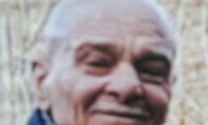 zitelli foto