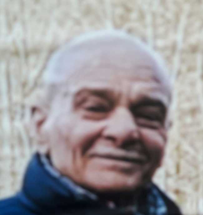 zitelli foto