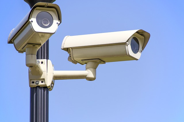telecamere videosorveglianza