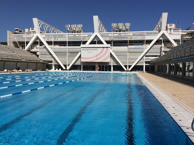 swimming pool 1713978 640