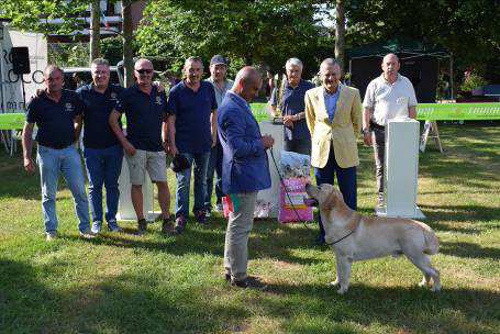 expo canina