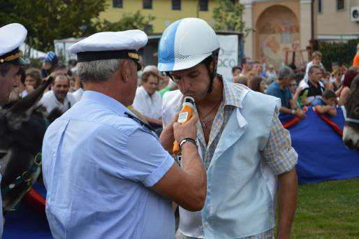 asini festa uva