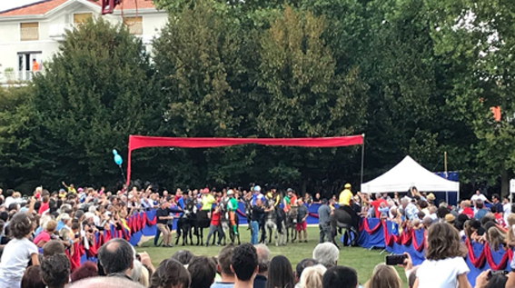 palio 1