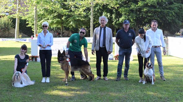 borgo esposizione canina