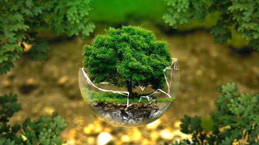 tutela ambientale modificato 1