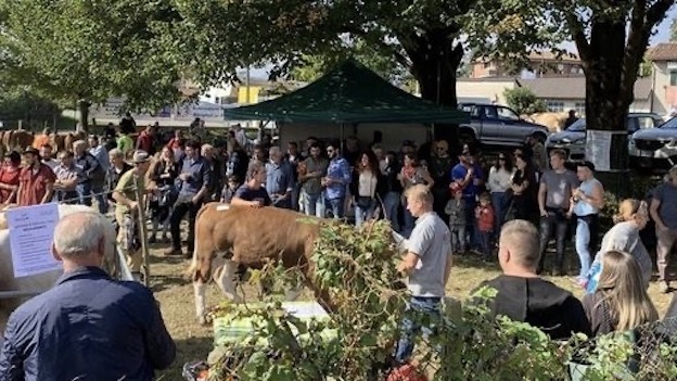 armeno fiera repertorio foto