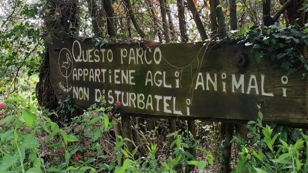 Torbiera 2