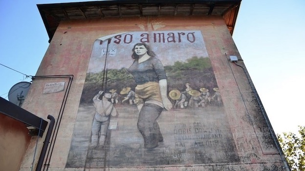 murale riso amaro foto