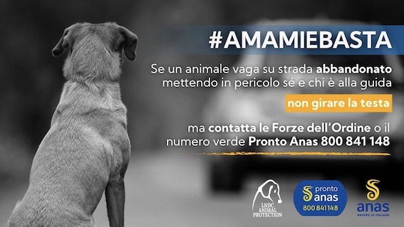 Amami e Basta Campagna