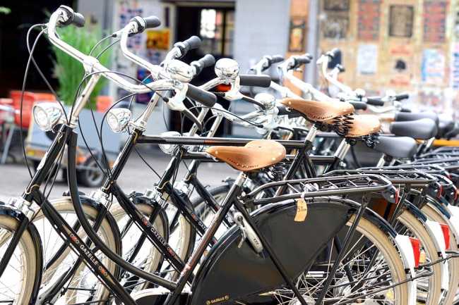 Novara, "Settimana della Mobilità": gli appuntamenti del fine settimana